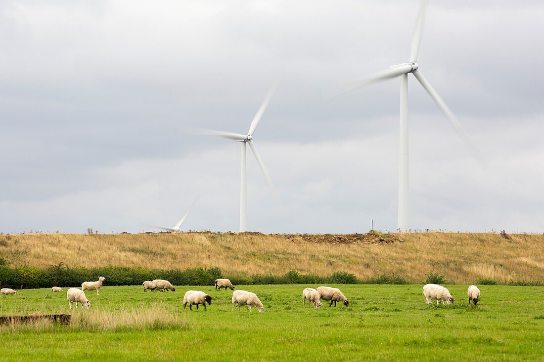 Yelvertoft wind farm,UK