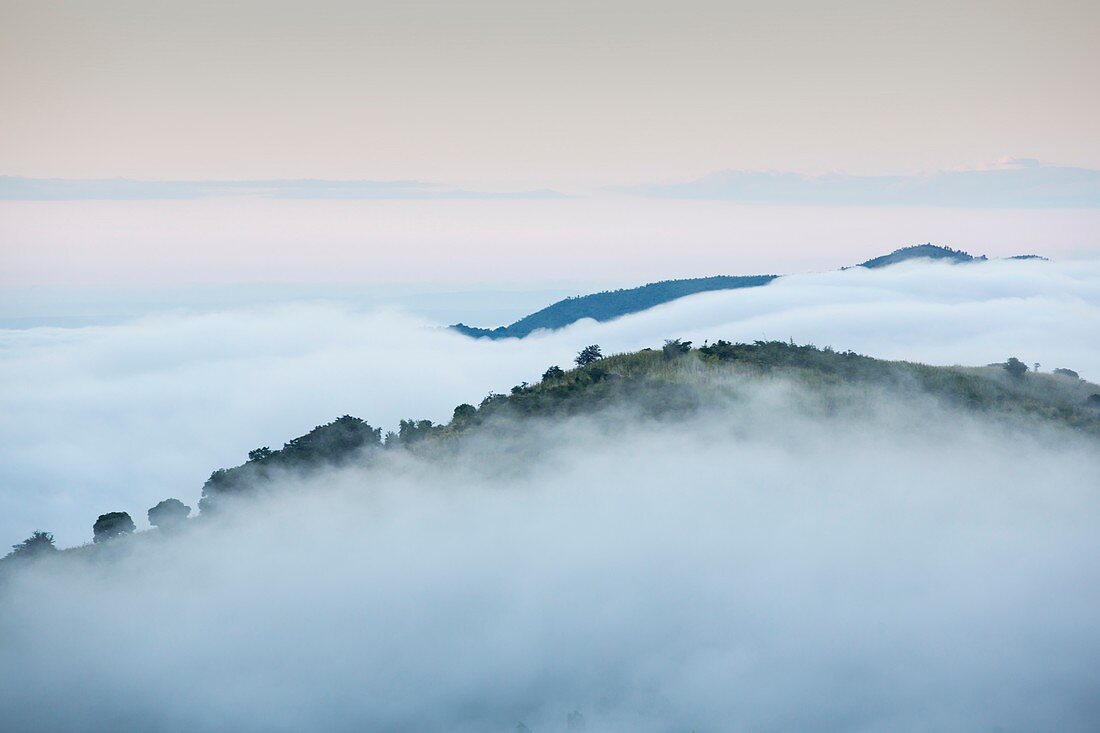 Morning Mist above Shire Valley,Malawi