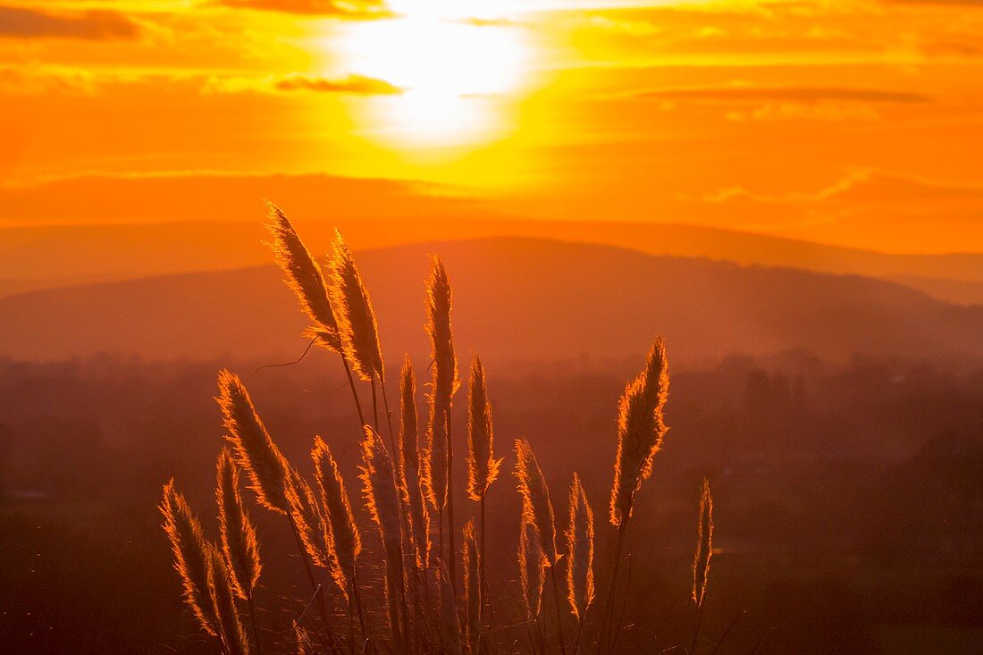 Sunset over the Welsh border hills