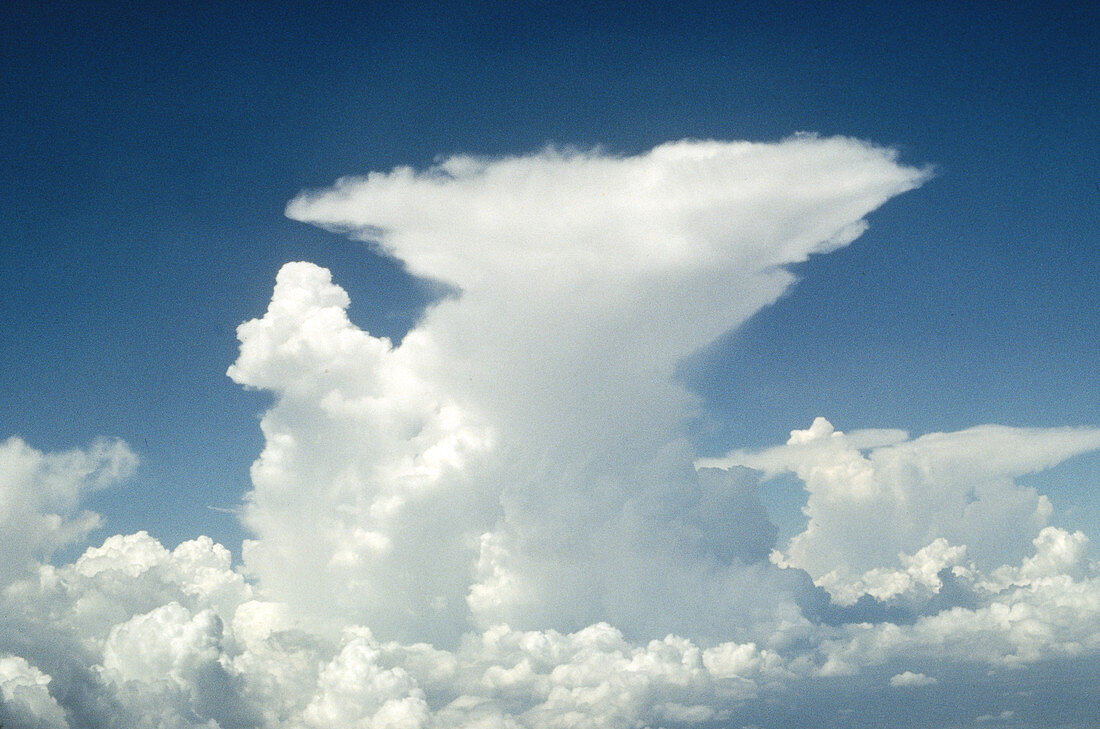 Thunderhead clouds