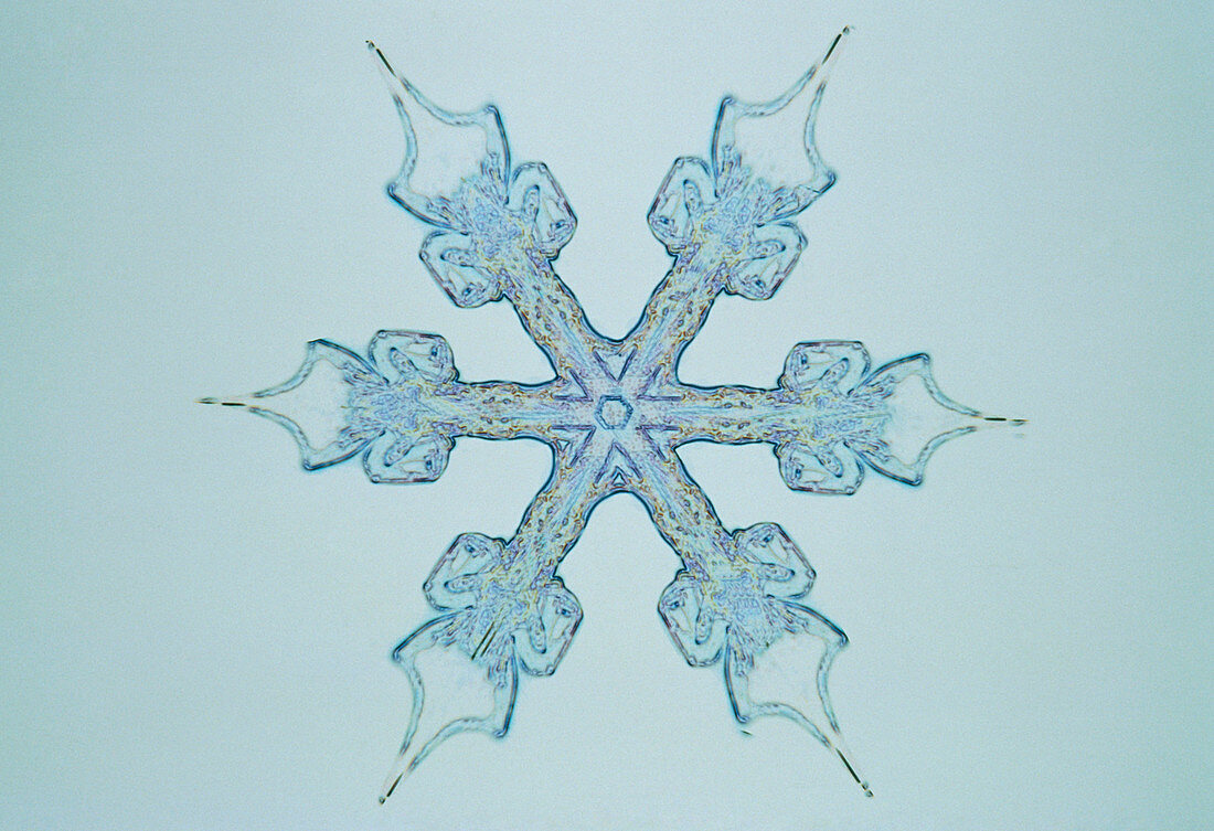 Light micrograph of a snow crystal