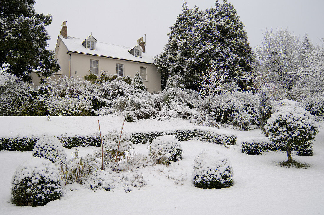 House and garden in snow