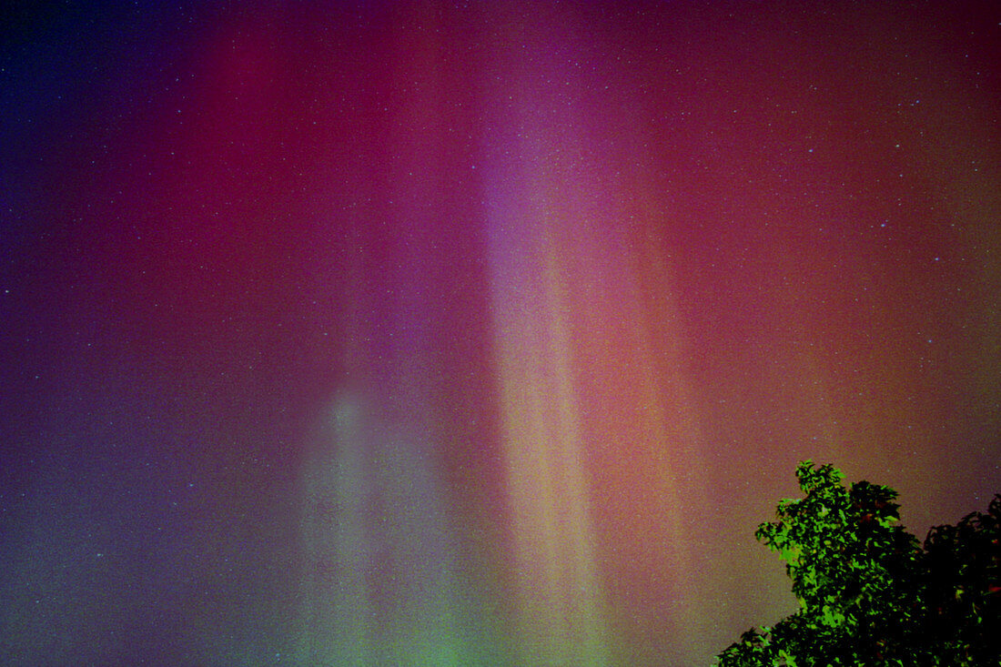 Jersey Aurora