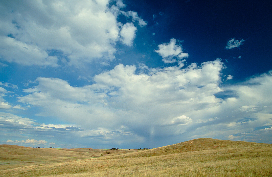 Cumulus clouds