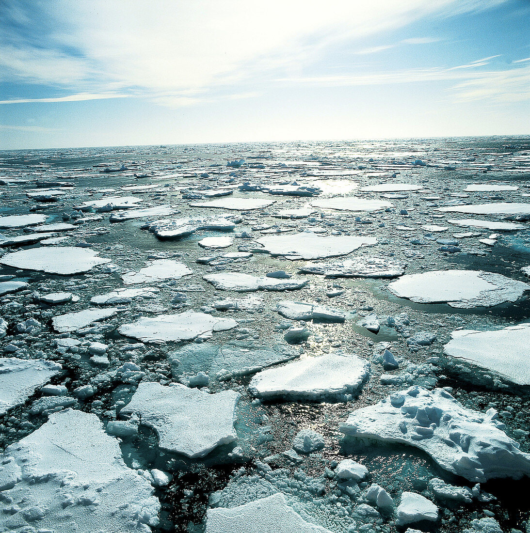 Pack Ice in the Ross Sea of Antarctica