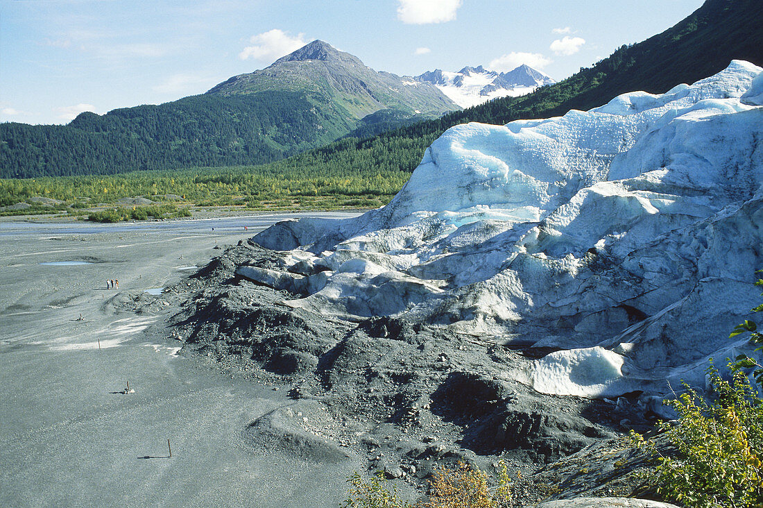 Terminal moraine at Exit Glacier