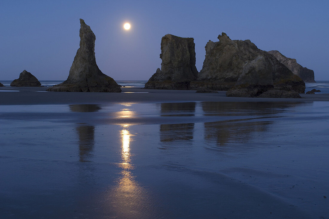 Oregon Coast