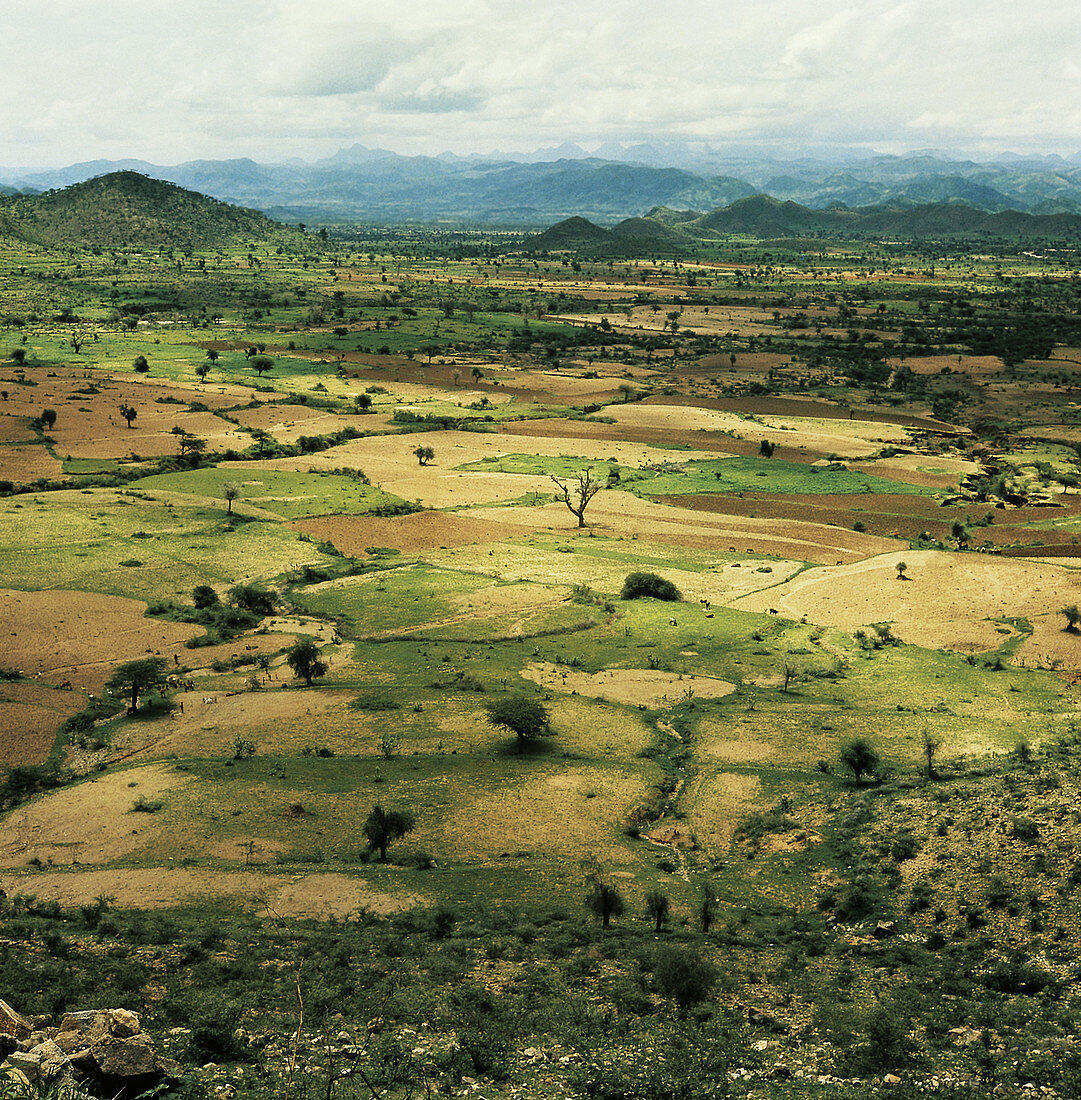 Great Rift Valley