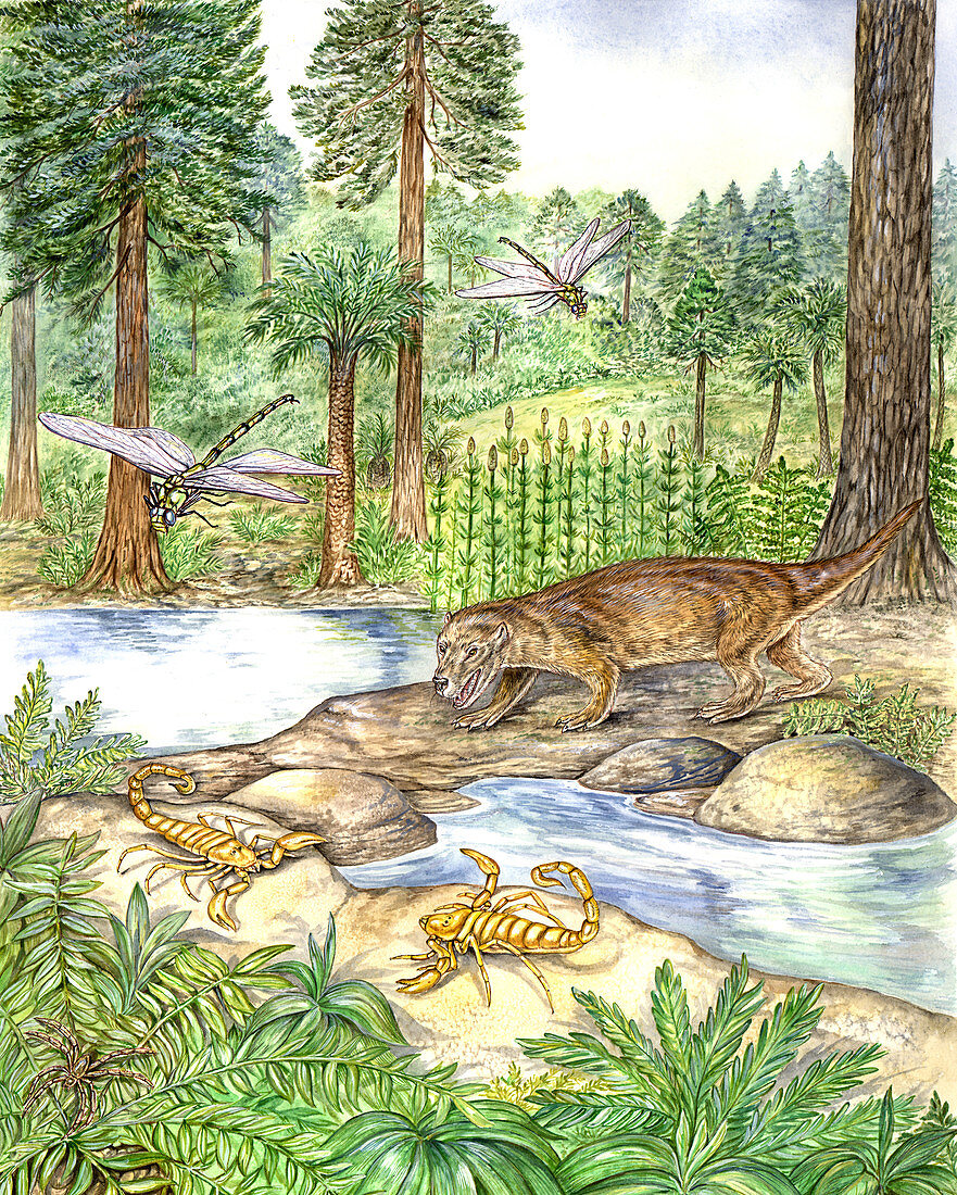 Early Triassic Scene