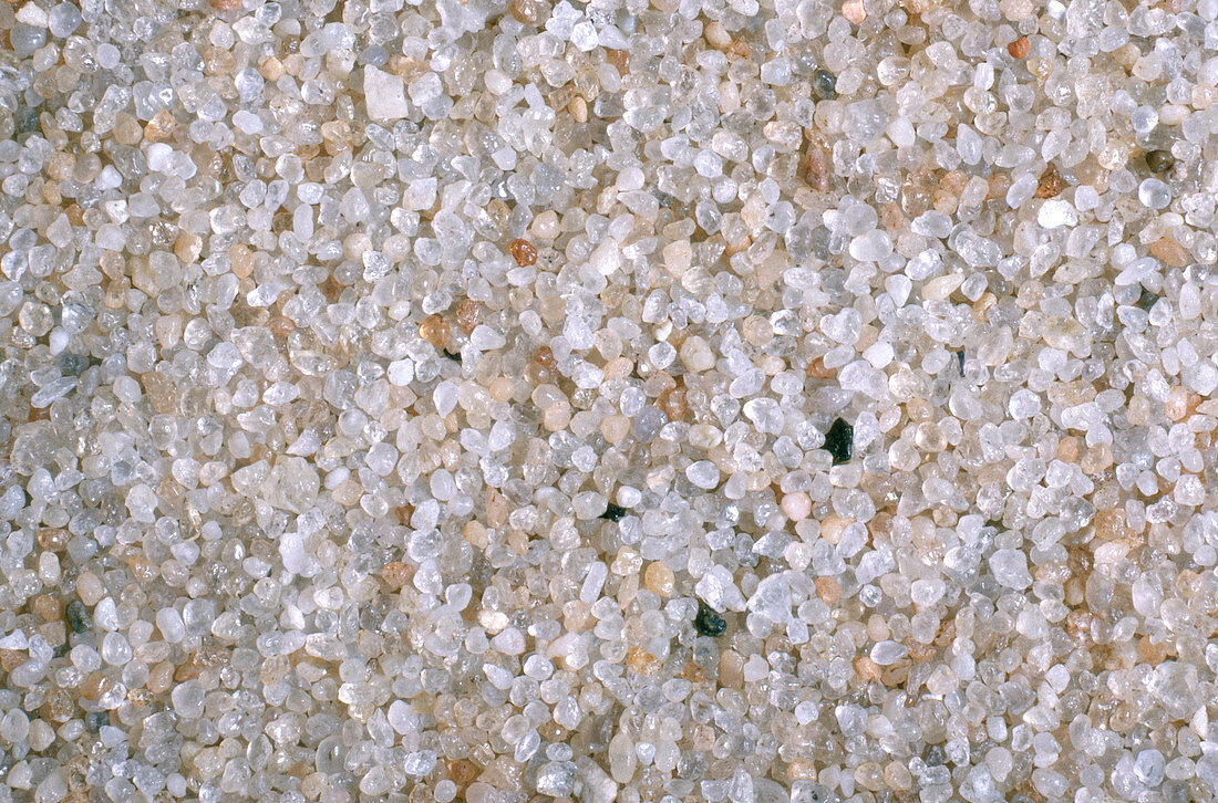 Beach Sand