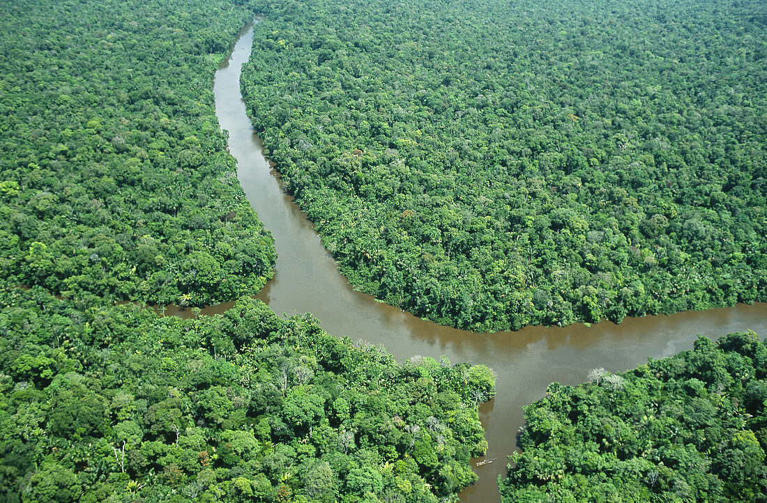 Brazil,Amazon estuary