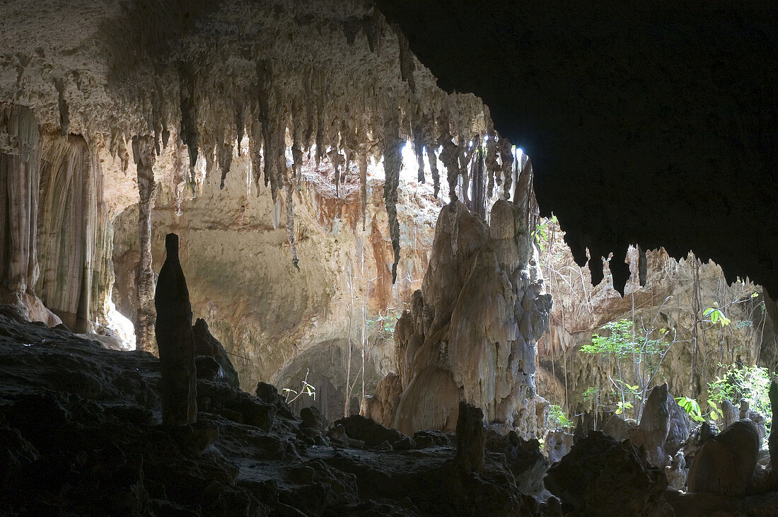 Anjohibe Cave,Madagascar