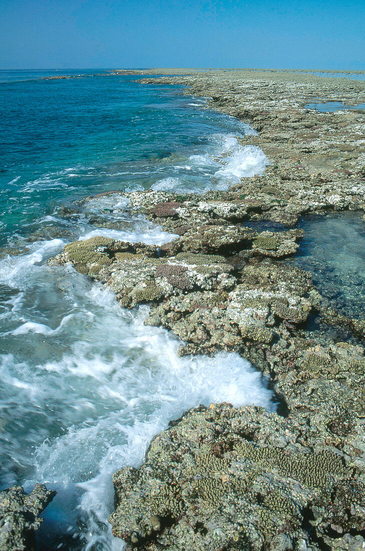 Great Barrier Reef