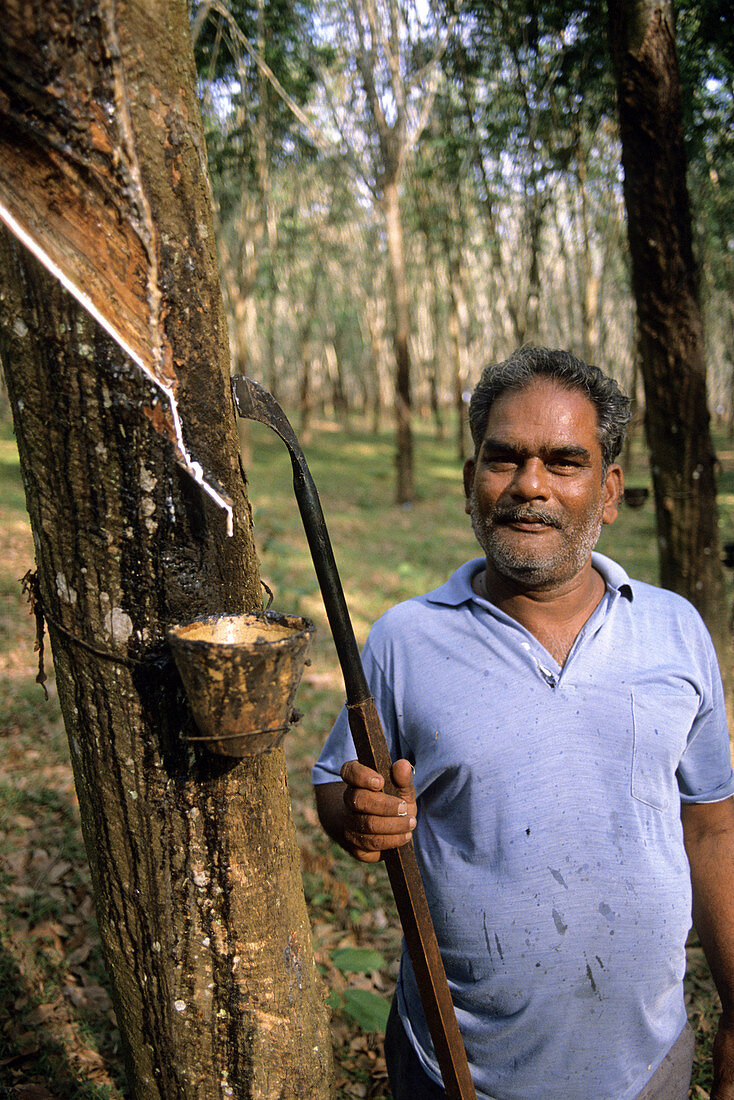 Rubber Tree Plantation Worker
