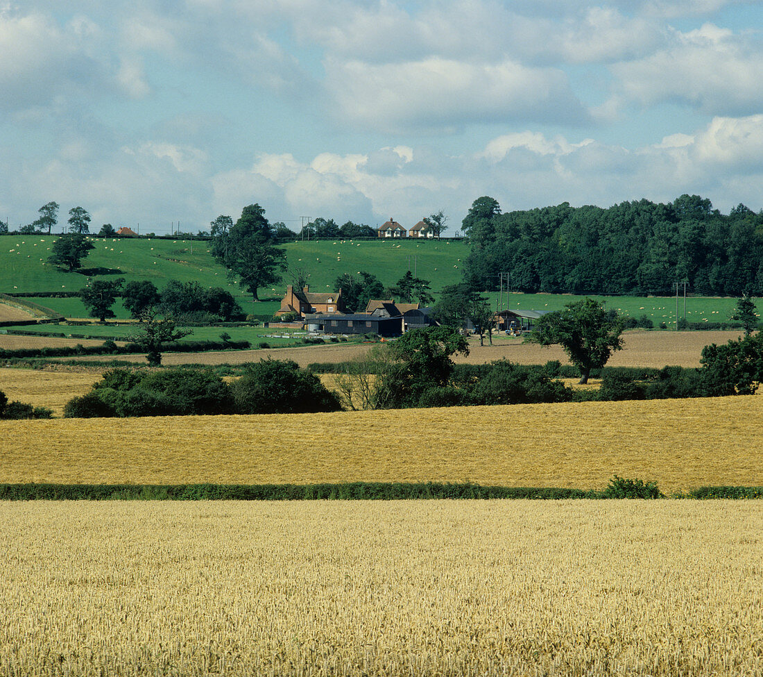 Warwickshire farmland