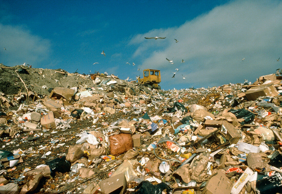 City refuse dump,USA