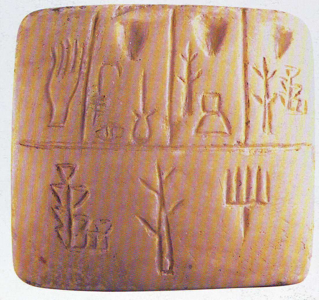 Mesopotamian accounting tablet