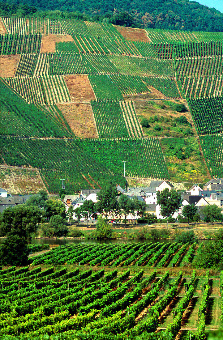 German Countryside