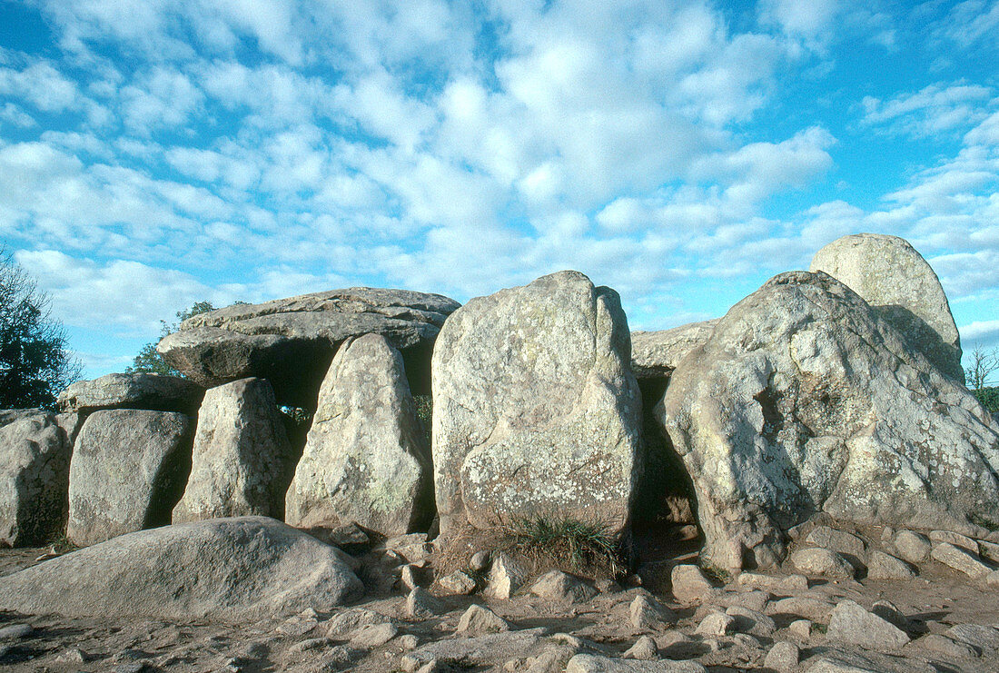 'Megaliths near Carnac,France'