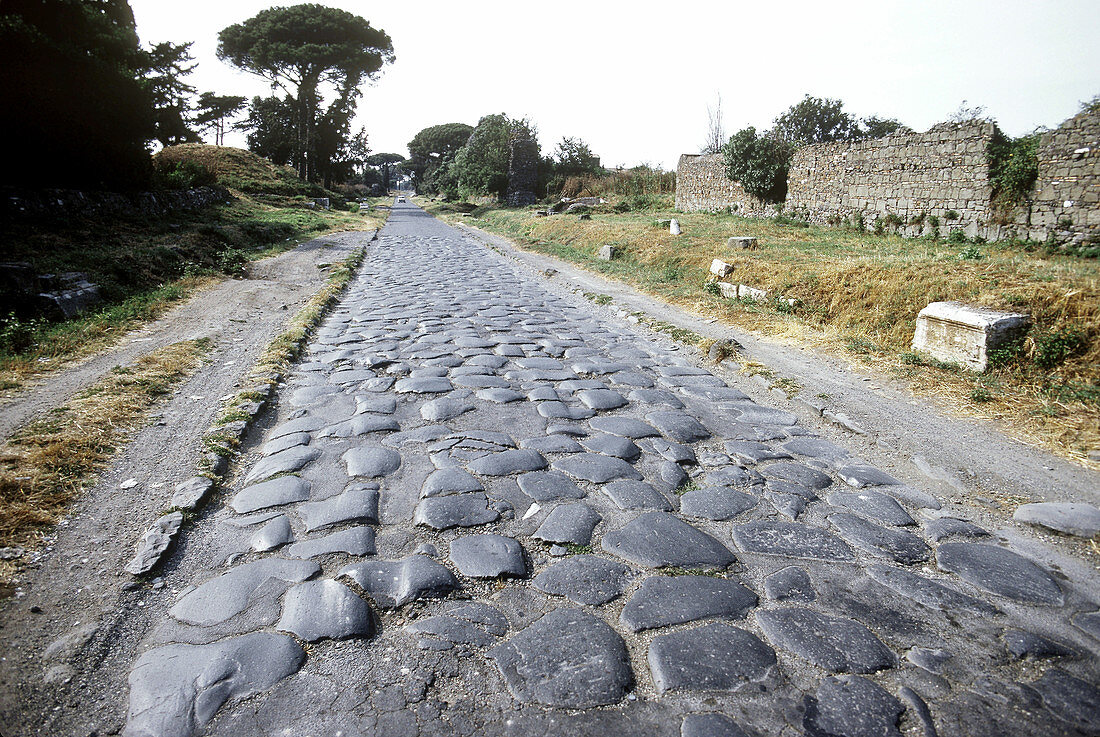 Cobblestones of the Appian Way