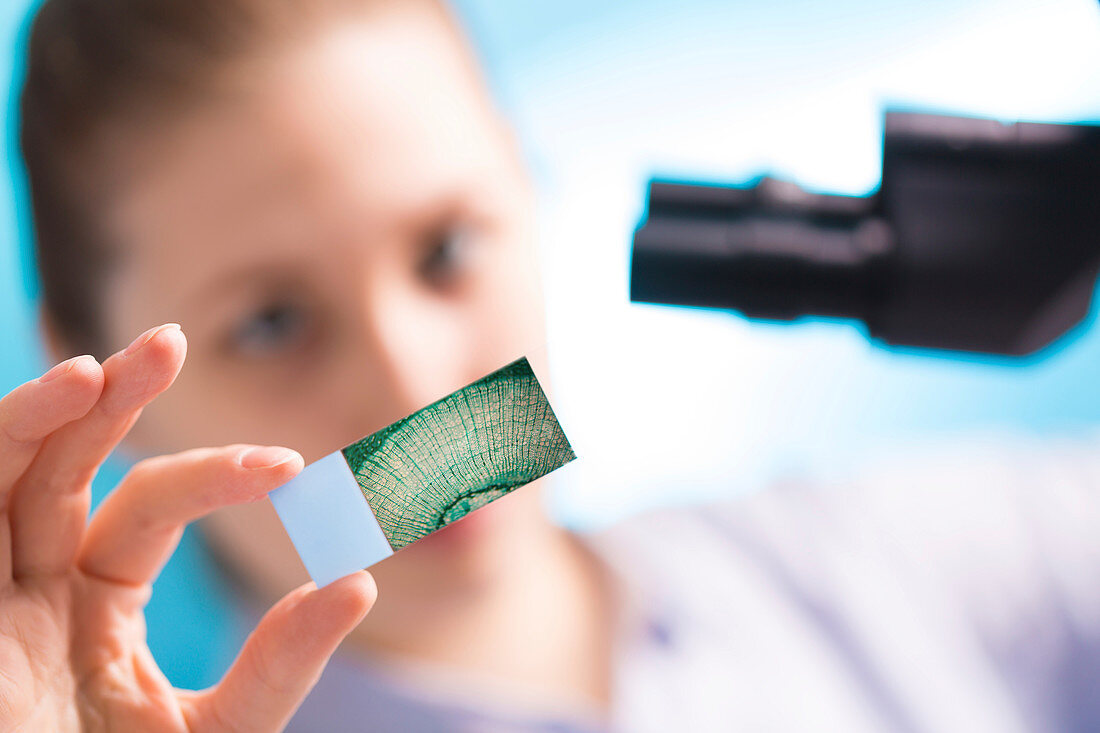 Lab technician holding microscope slide