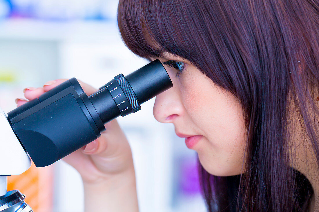 Lab technician using microscope