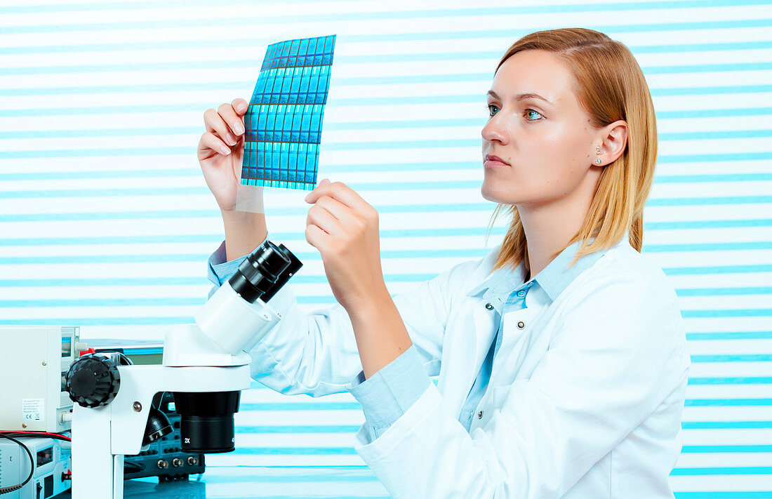 Technician holding silicon wafers