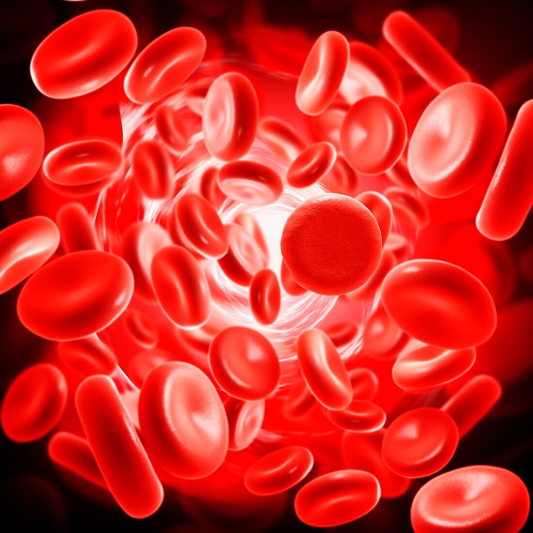 Red blood cells,illustration