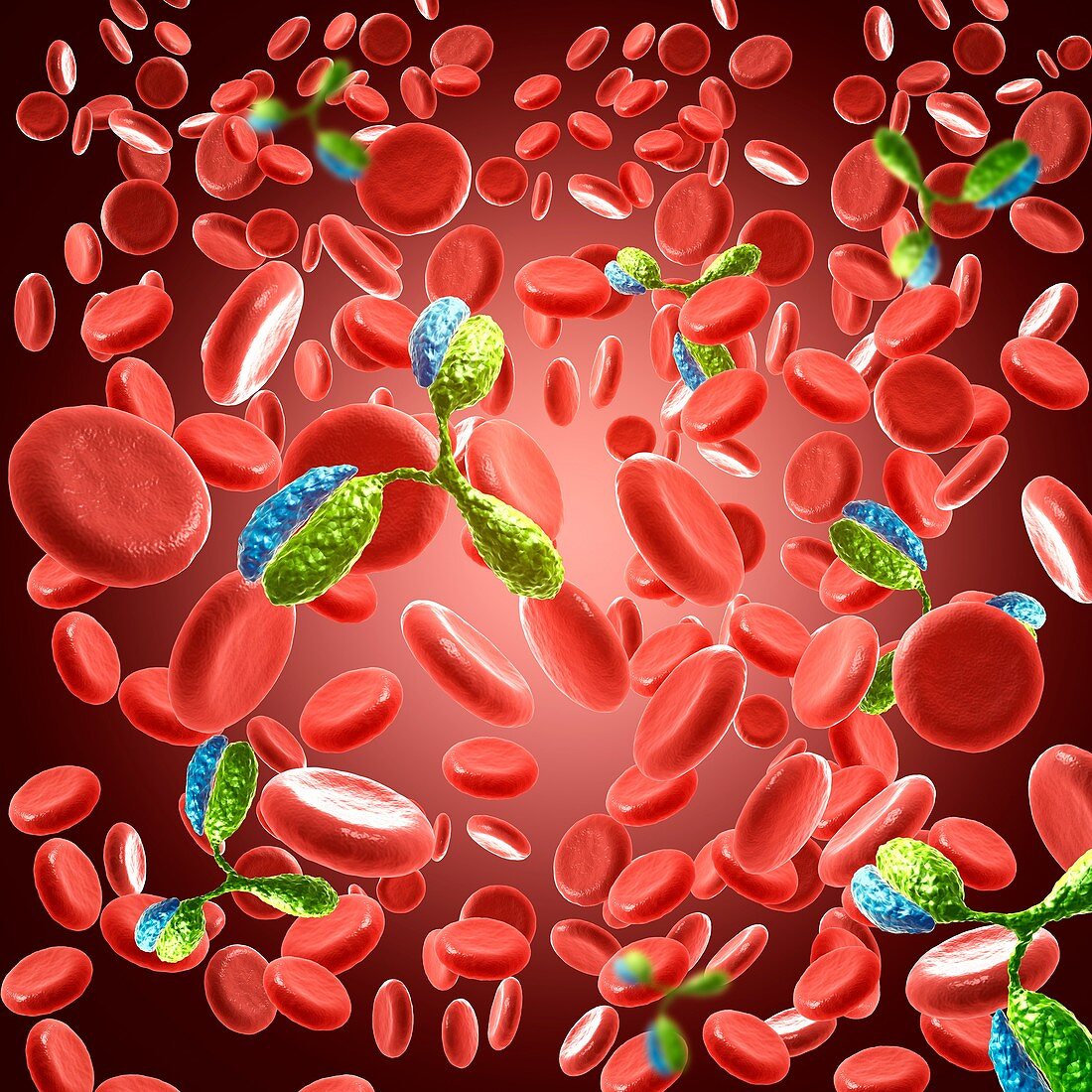 Antibody 1IGT,illustration