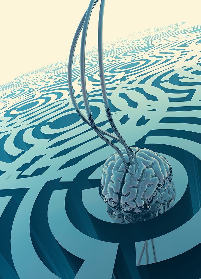 Human brain in a maze,illustration