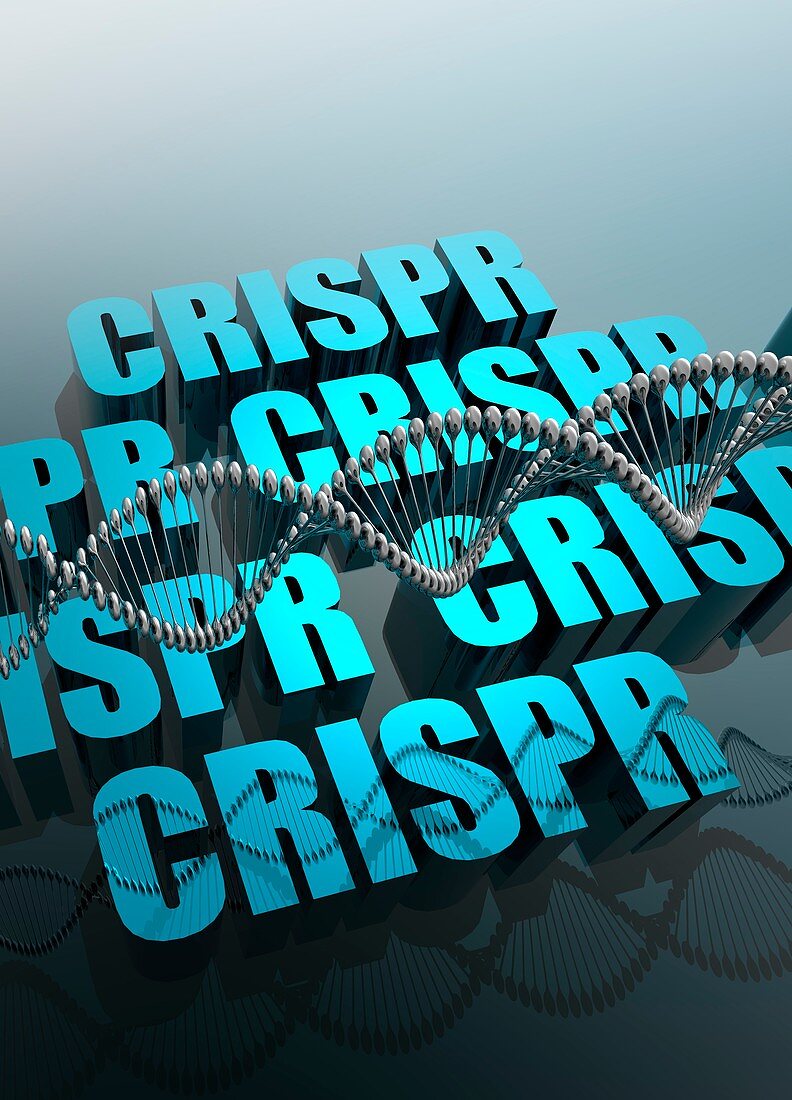 CRISPR gene editing,illustration