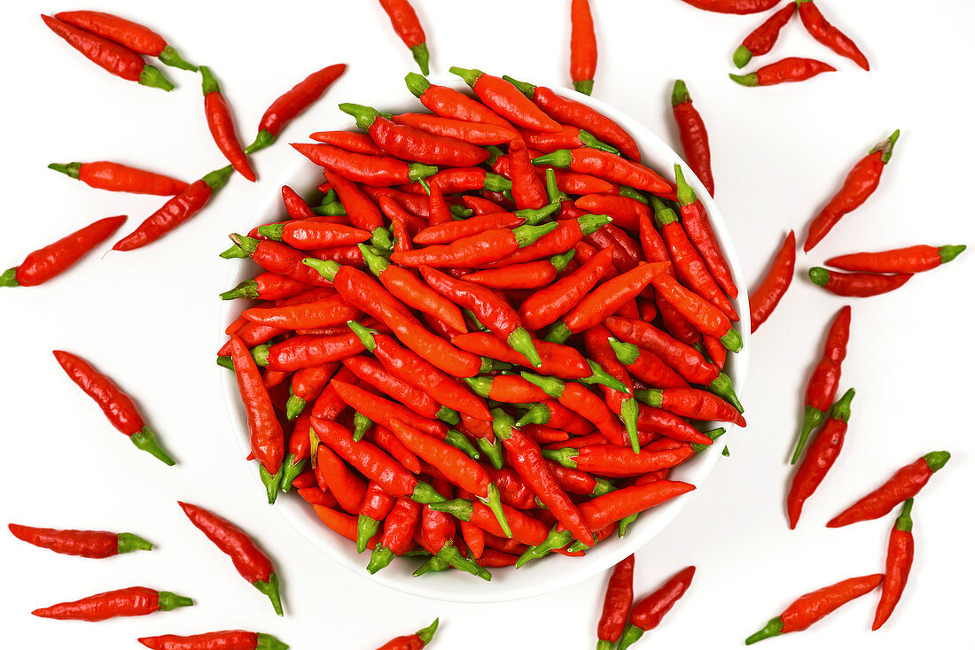 Red chilli peppers