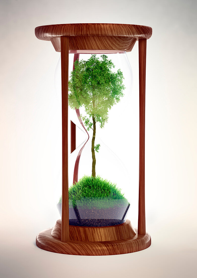 Hour glass with tree inside,illustration