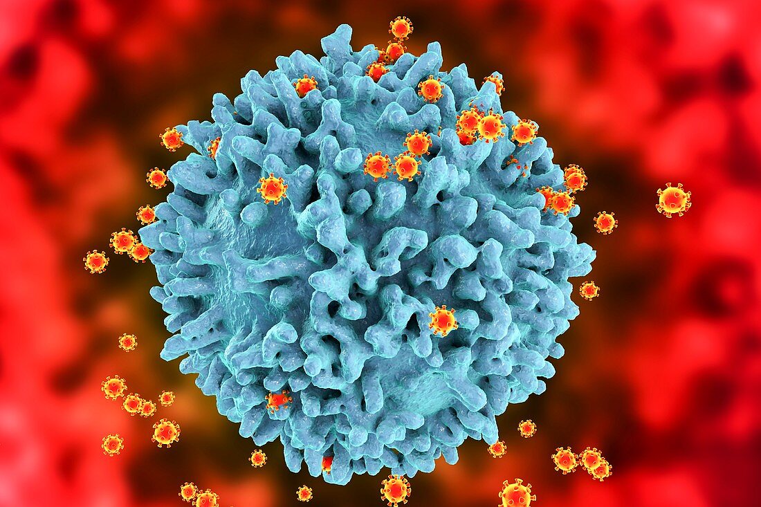 HIV viruses,illustration