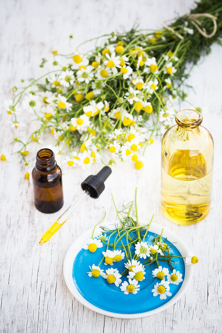 Essential oil of chamomile