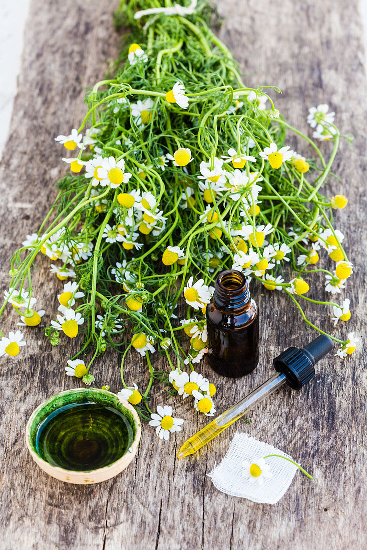 Essential oil of chamomile