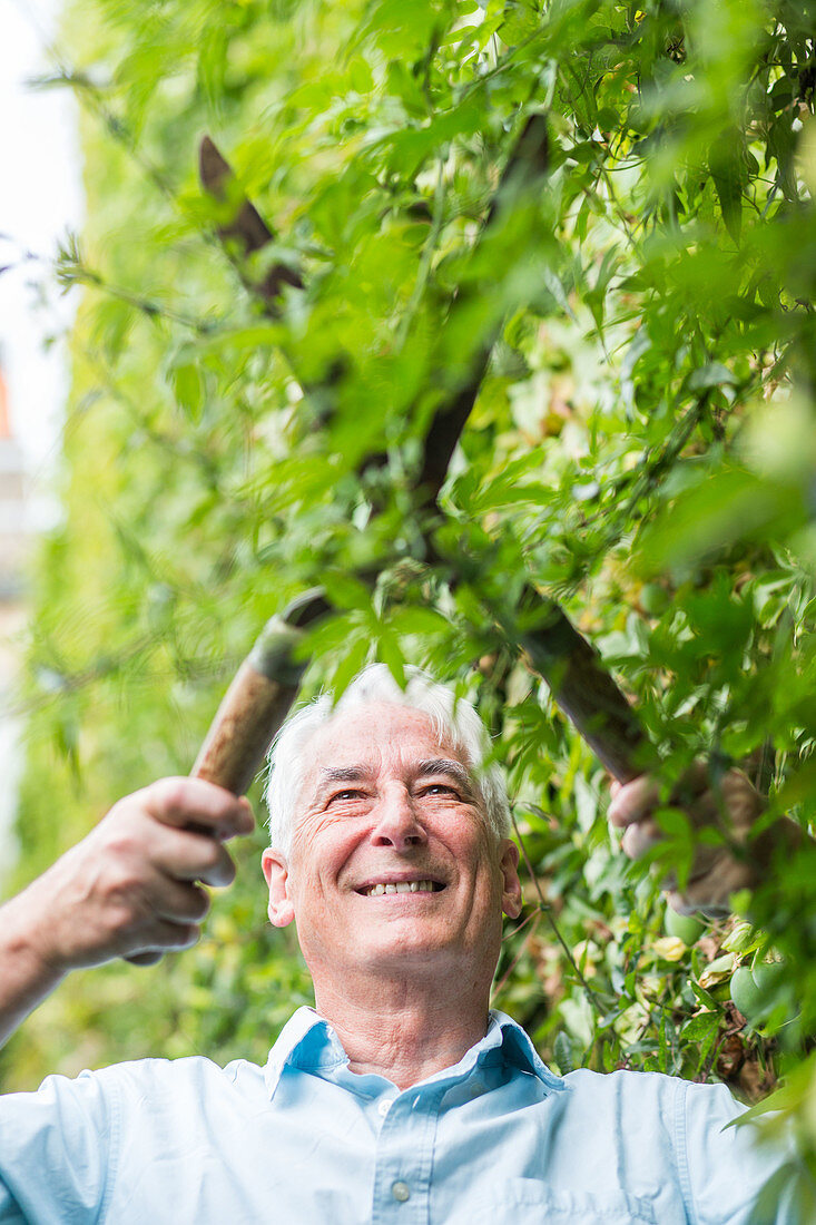 Senior man gardening