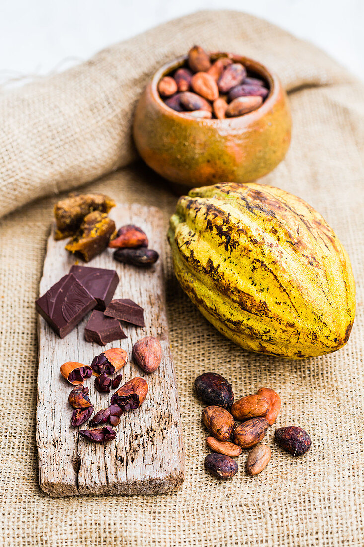 Cocoa pods and chocolate