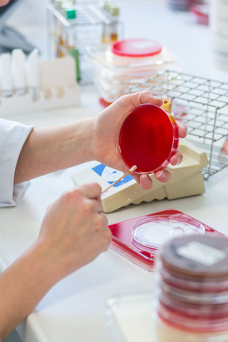 Microbiology laboratory