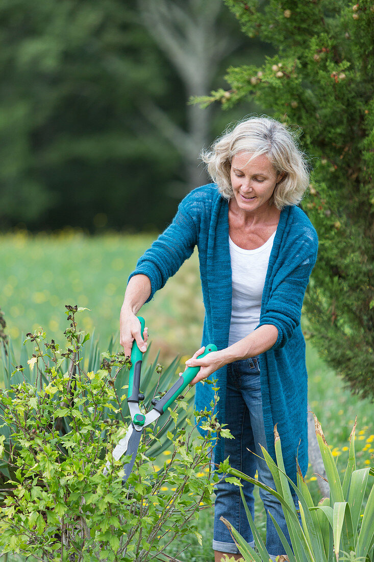 Woman gardening