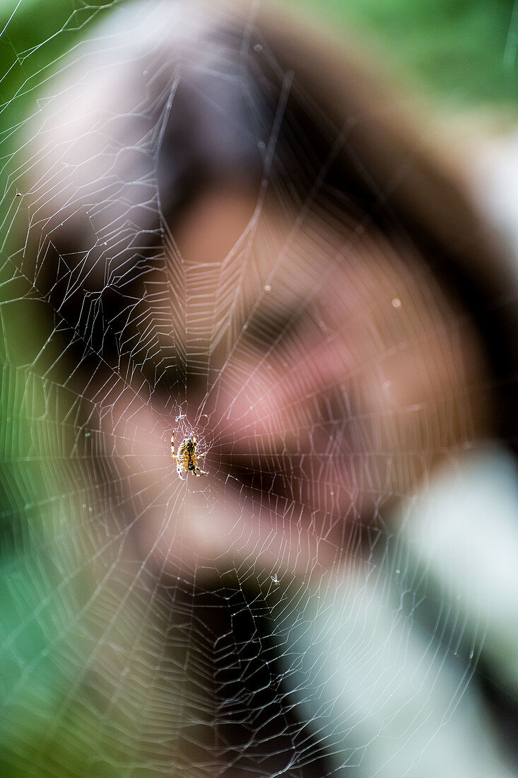 Conceptual image of arachnophobia