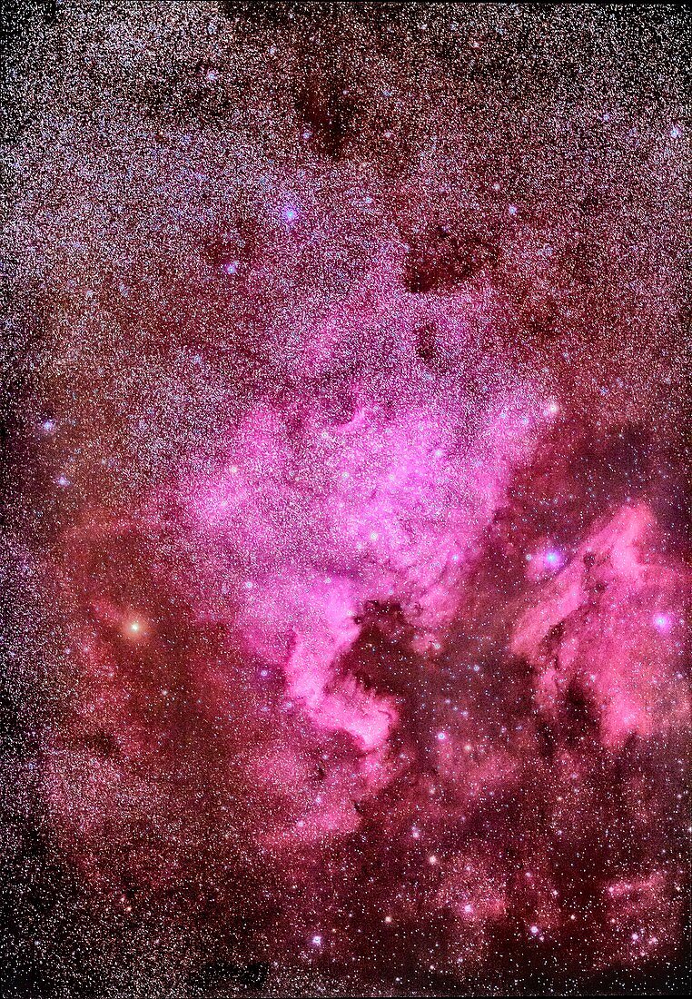 North America Nebula, optical image