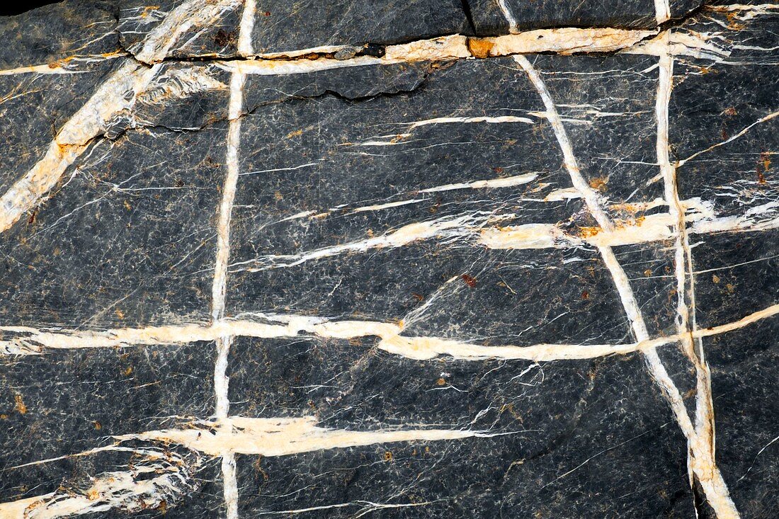 Crossing calcite veins in limestone