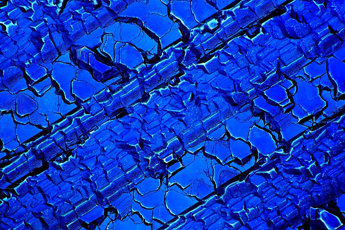 Silicon solar cell, light micrograph