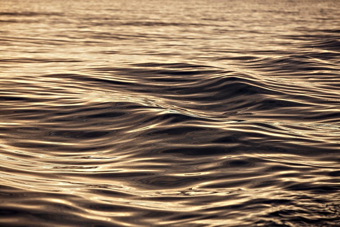 Waves at sunrise