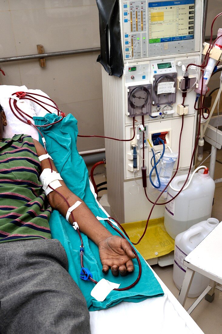 Kidney dialysis patient