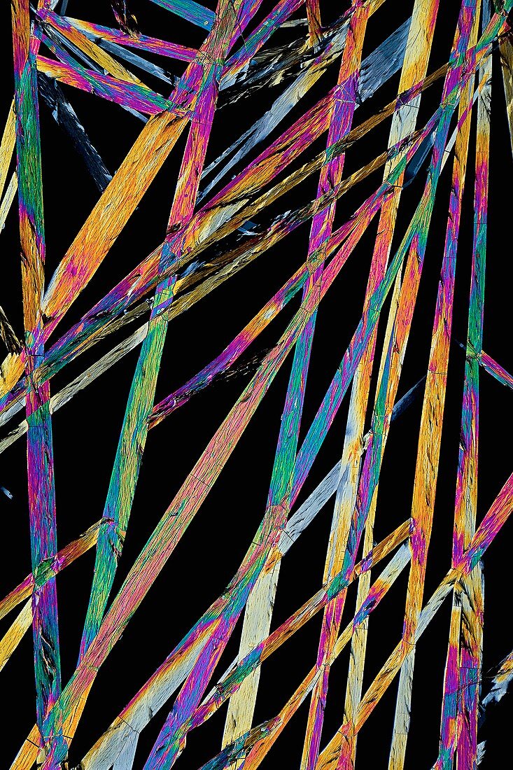 Ciprofloxacin antibiotic drug crystals, light micrograph