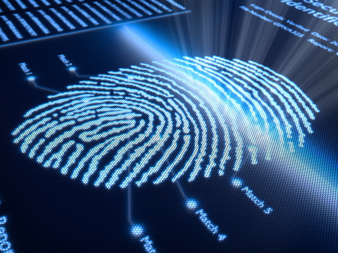 Fingerprint identification