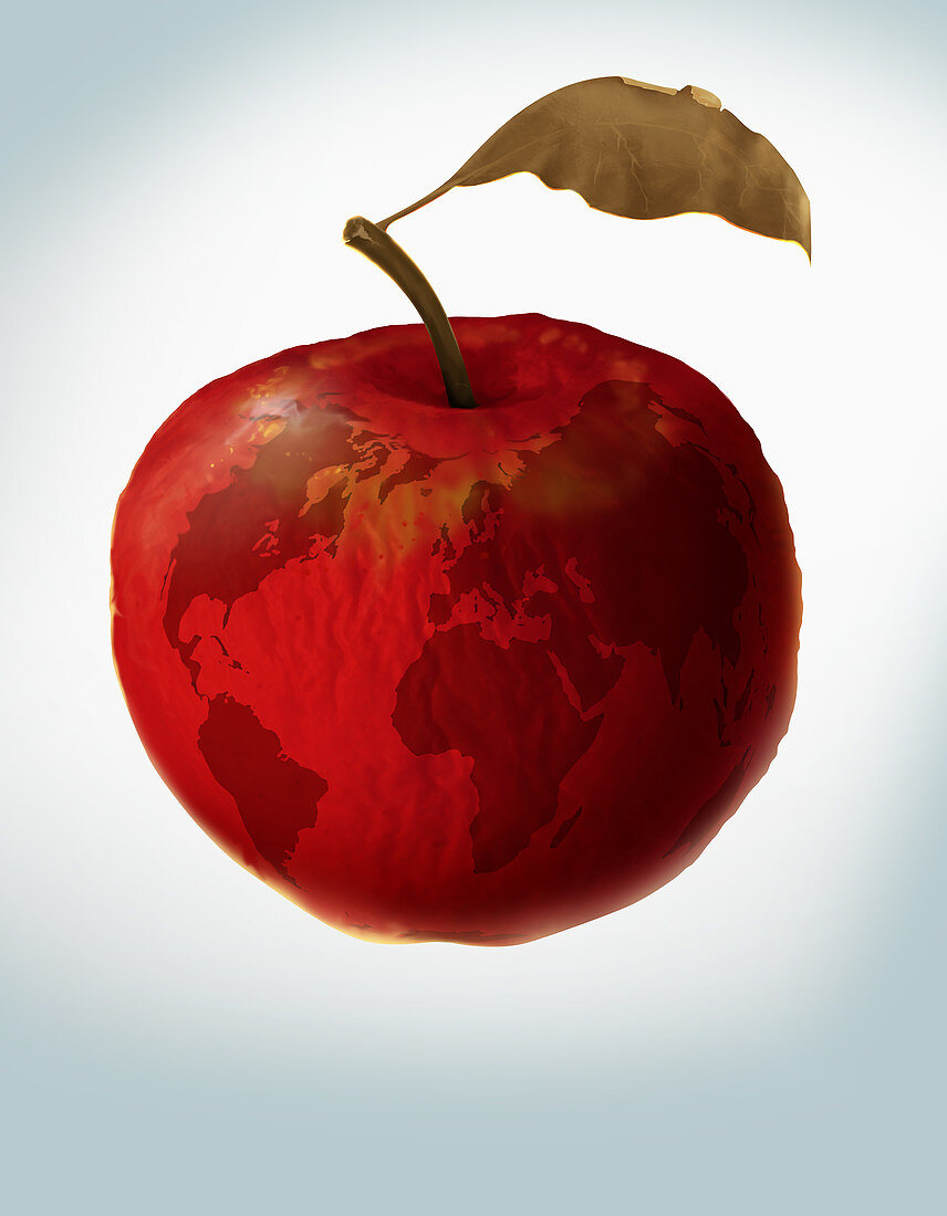 Illustration of an apple with world map