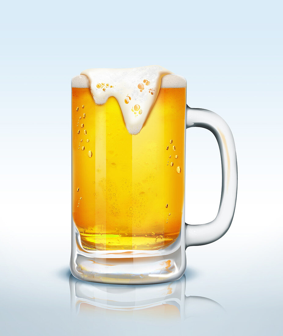 Illustration of beer glass